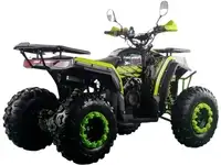 Квадроцикл racer freelander pro200 xmr (мотокомплект), фотография 6