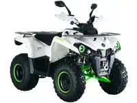 Квадроцикл amoto hammer 200l