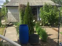 Продам дачу, Пууовичский район,дер.Равнополье, фотография 4