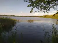 прекрасный участок на берегу озера Городно, Озёрная ул, 13, деревня Городнянский Мох, Новкинский сельсовет, район,, фотография 7