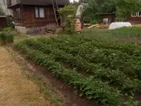 дача, с/т Изобилие, фотография 3
