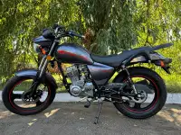 Мотоцикл Хорс Z 150 серый 150 см3, фотография 2