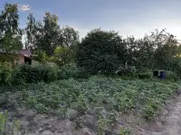 4-х комнатная квартира в блокированном двухэтажном доме, фотография 7