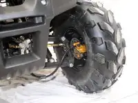 Электроквадроцикл storm evo, фотография 5