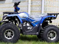 Квадроцикл MMG Hunter II 125cc (SCRAMBLER), фотография 2