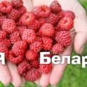Экскурсии по Беларуси , фотография 2