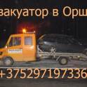 Автопомощь в Орше Дубровно м1 м8 рб рф, фотография 2