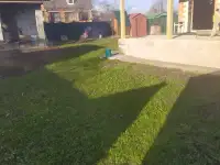 продам Дачу, Смолярка, фотография 2