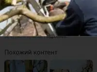 Обрезка деревьев. ПОКОС ТРАВЫ.НЕДОРОГО!!!, фотография 6