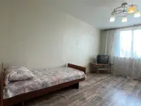 Квартира в Фаниполе на сутки. Документы. Телевидение. Wi-fi., фотография 3