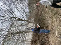 Услуги по вырезке деревьев, фотография 8