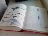 Oxford Illustrated American Dictionary, 2000, фотография 5