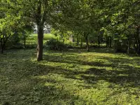 Продам участок, д. Прусы, фотография 6