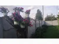 Дом, Столбцовский р-н,Рубижевичский с/с,д.Заречье ,ул.Юбилейная, фотография 6