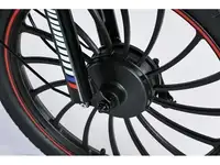 Электровелосипед smartbalance fiesta pro (2025), фотография 4