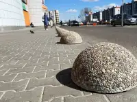 Тротуарная плитка, тактильная плитка, бетонные полусферы (соответствие ГОСТ), фотография 2