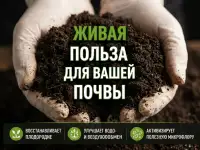 Натуральный Биогумус и вермикомпост оптом на реализацию от производителя, фотография 3