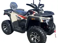 Квадроцикл racer ranger 250, фотография 10