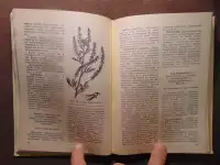 Заготовка дикорастущей продукции (пособие), издательство Ураджай, 1977 год, 240 страниц. Авторы: Коршиков Б. М., Митюков, фотография 9