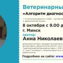 Семинар по дерматологии для ветеринарных врачей в Минске