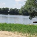 Дача на Осиповичском водохранилище., фотография 7