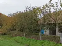 Продаётся дом-дача, 225270 Брестская обл.,Ивацевичский р-н, д.Яглевичи,, ул.Школьная, д.25, фотография 4