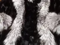 Норковая шуба, фотография 3