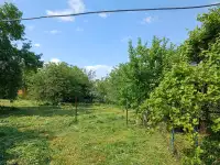 Участок-дача, Полевая, фотография 5