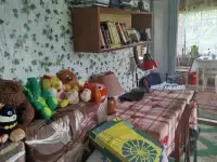 Дачный домик, СТ Медтехник, д. Лоси, Молодеченский р-н, фотография 8