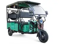 Трицикл rutrike рикша 60v1000w, фотография 2