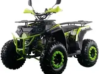 Квадроцикл racer freelander pro200 xmr (мотокомплект), фотография 2