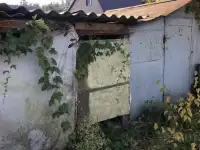 Продам дачный участок в 7 км от Ольшанки Гродно, фотография 9