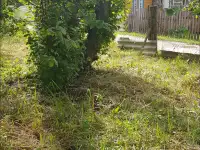 Продажа 20 соток и часть дома,г.Ельск,Гомельс.обл., фотография 8