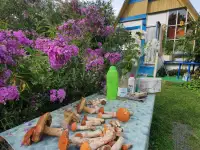 Продам дачу, Минская область деревня Стайки, фотография 3