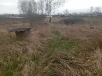 Участок, область, Каменецкий район, д Кунаховичи 11, фотография 2