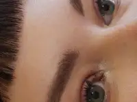 Брови