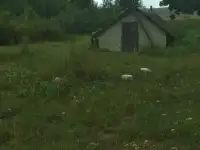 Дом с удобствами в рассрочку на длительный срок д.Красная Воля, фотография 3
