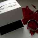 Часы JUST Cavalli Time, оригинальные, фотография 7