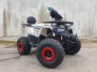 Квадроцикл WELS Thunder 125 E2X, фотография 4