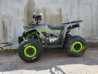 Квадроцикл Motoland Wild X 125cc, фотография 3