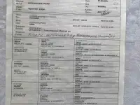 Продажа щенков англо-русской гончей, фотография 4