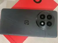 OnePlus 13 12/256 Global