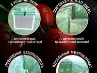 Теплица каркасная росток 4 x 3 x 2 метра, фотография 5