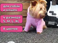 Помогу с продвижением на маркетплейс, фотография 3