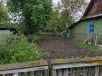 Продажа участка с домом, Брестская область ул.Красноармейская,д.8, фотография 5
