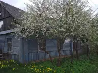 Продам жилой дом Чашникский район, д. Большие Смольянцы, фотография 4