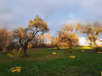 Уютный домик вдали от городской суеты, Бабарики, 27, миорский район, витебская область, фотография 4