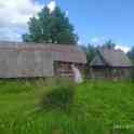 Продажа участка 25соток, д.Терховичи, сельсовет, Минская обл, Беларусь, фотография 5