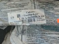 Сайдинг, фотография 4