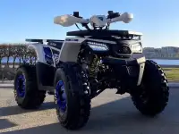 Квадроцикл ATV Motoland Wild 125 без ПТС (к-т з/ч), фотография 10